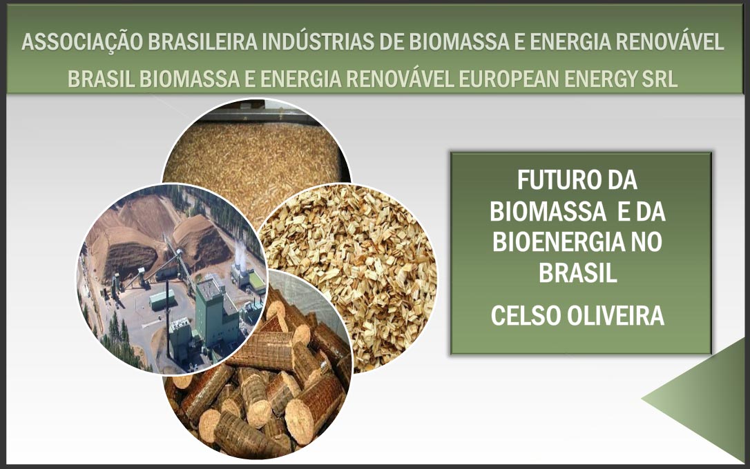 Bioenergia, Biomassa, Energia Renovável, Celso Oliveira, pellets Brasil